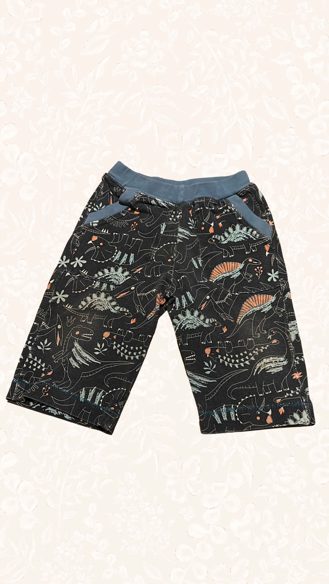 Hosen Dinosaurier 74/80