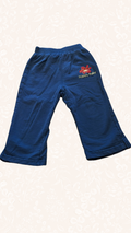 Hosen Blumen 80