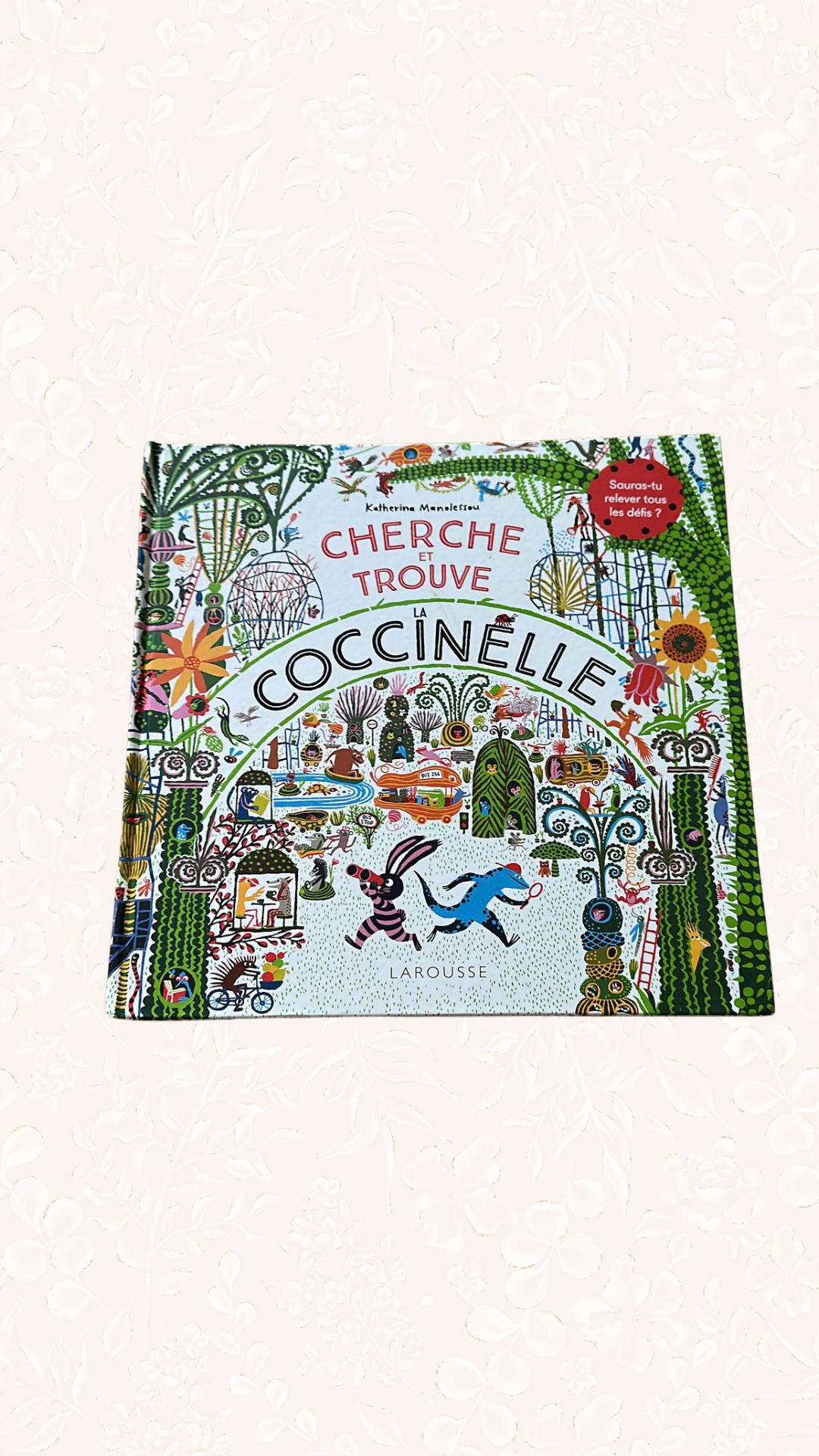 Buch „Cherche Trouve Coccinelle“