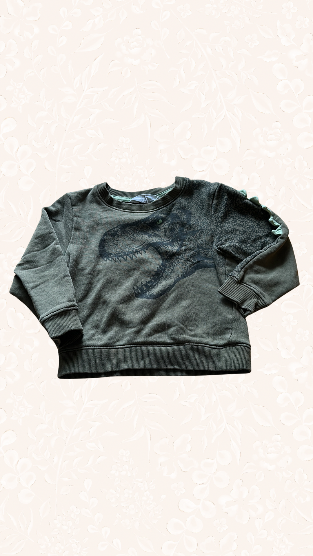 Pullover Dinosaurier 86/92