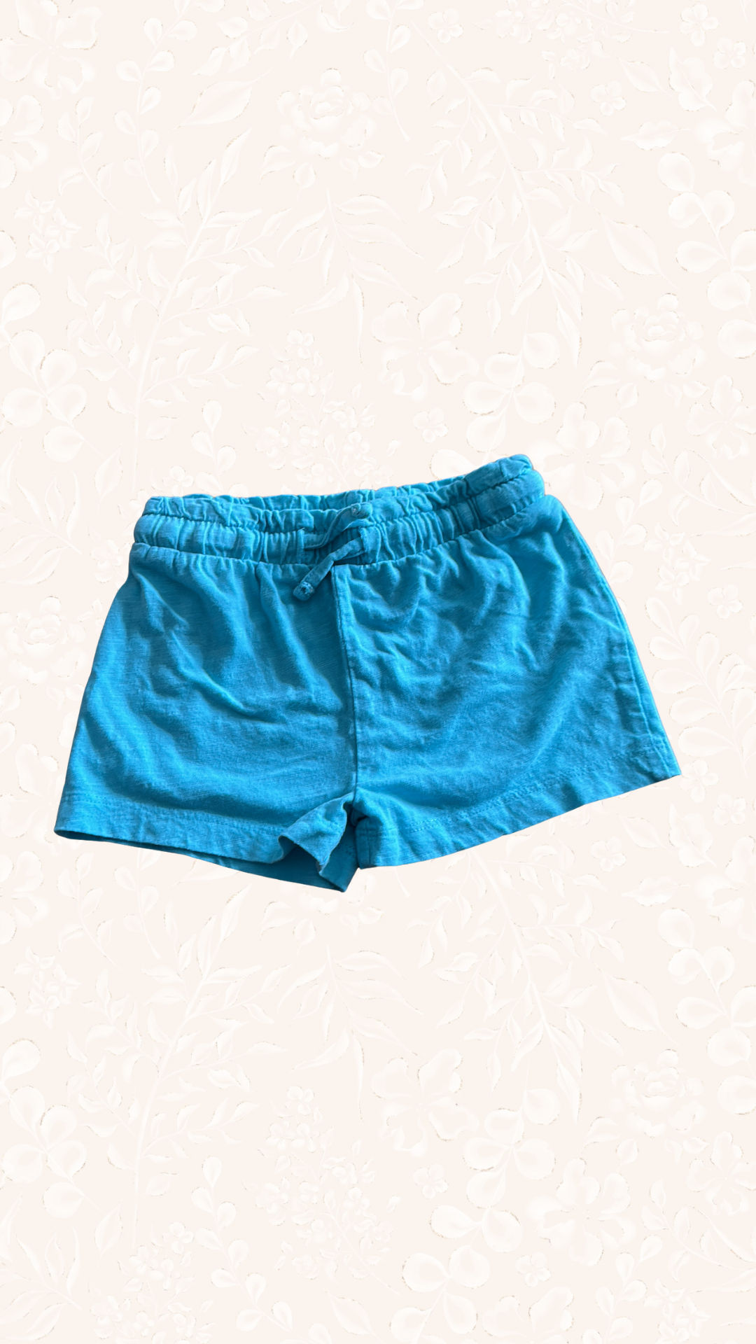 Shorts Blau 68