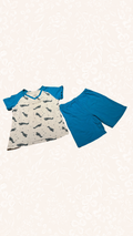 Set Flugzeug 116