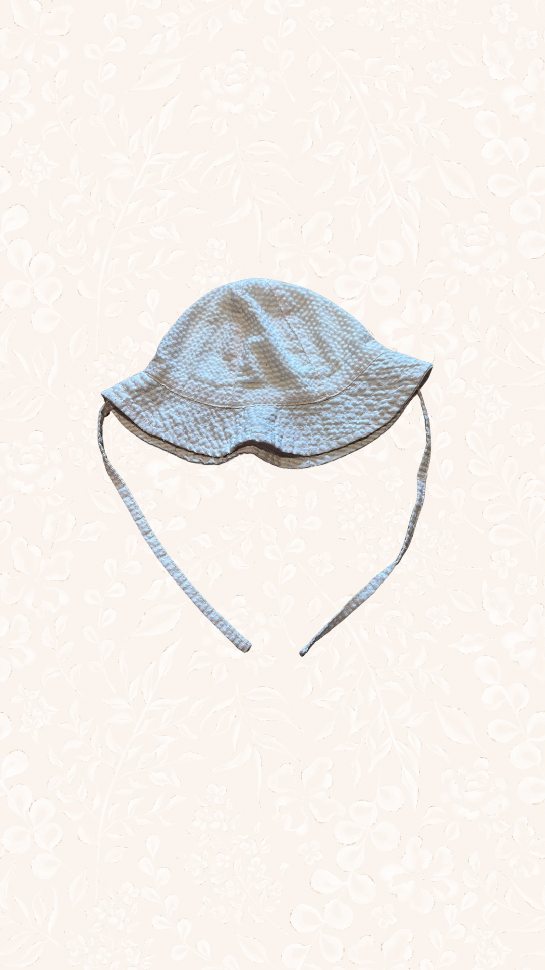 Sonnenhut rosa 68